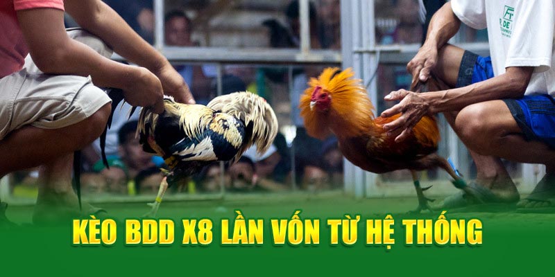 Kèo BDD x8 lần vốn từ hệ thống